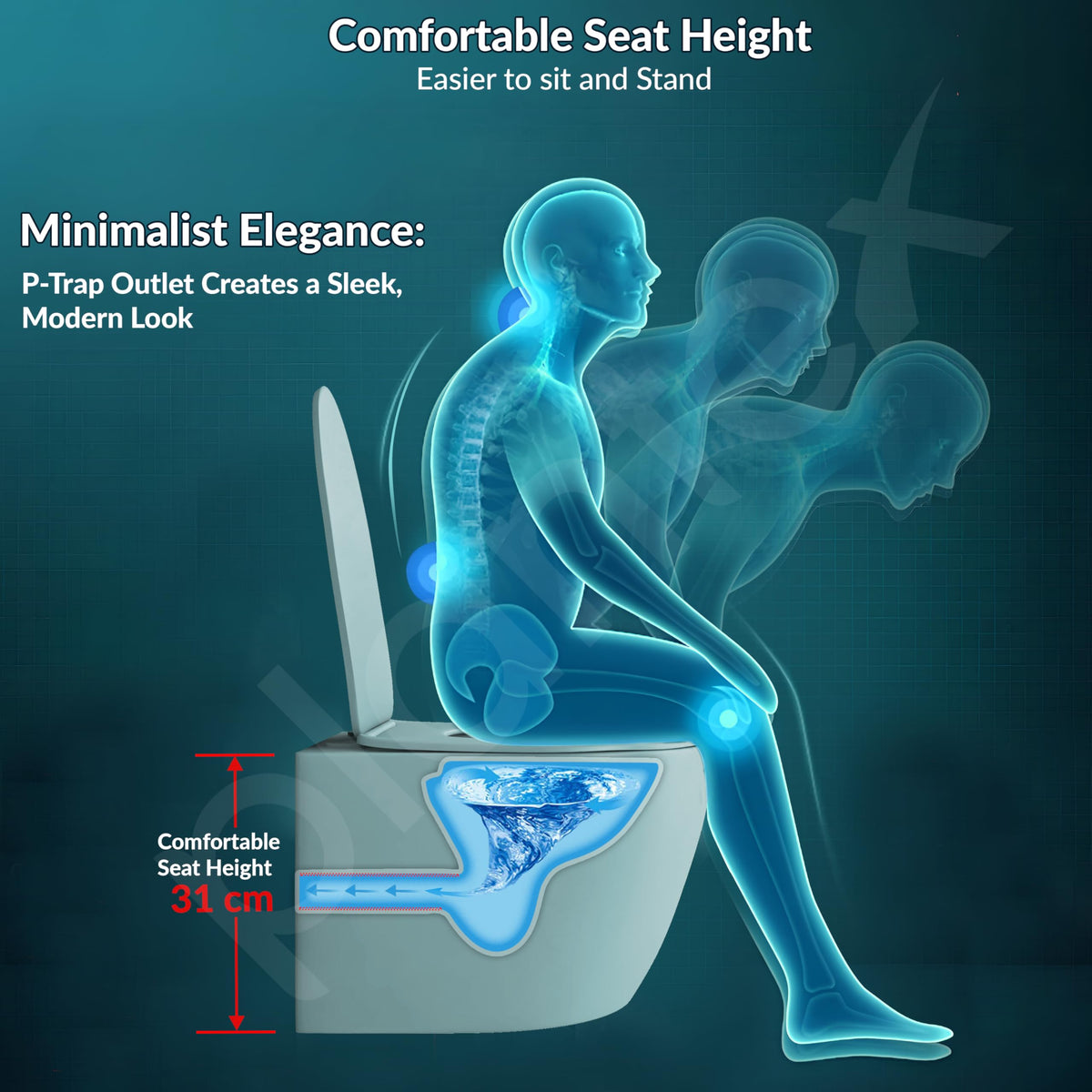 Plantex Imported Ceramic Wall Hung Commode/Rimless Washdown Flush Western Toilet/Round Commode with Soft Closing Toilet Seat - P Trap (Harmony Blue)-6
