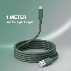 Philips DLC4130AT/94 18W Type-A to Type-C Fast Charging Cable (1m, Crystal Teal)