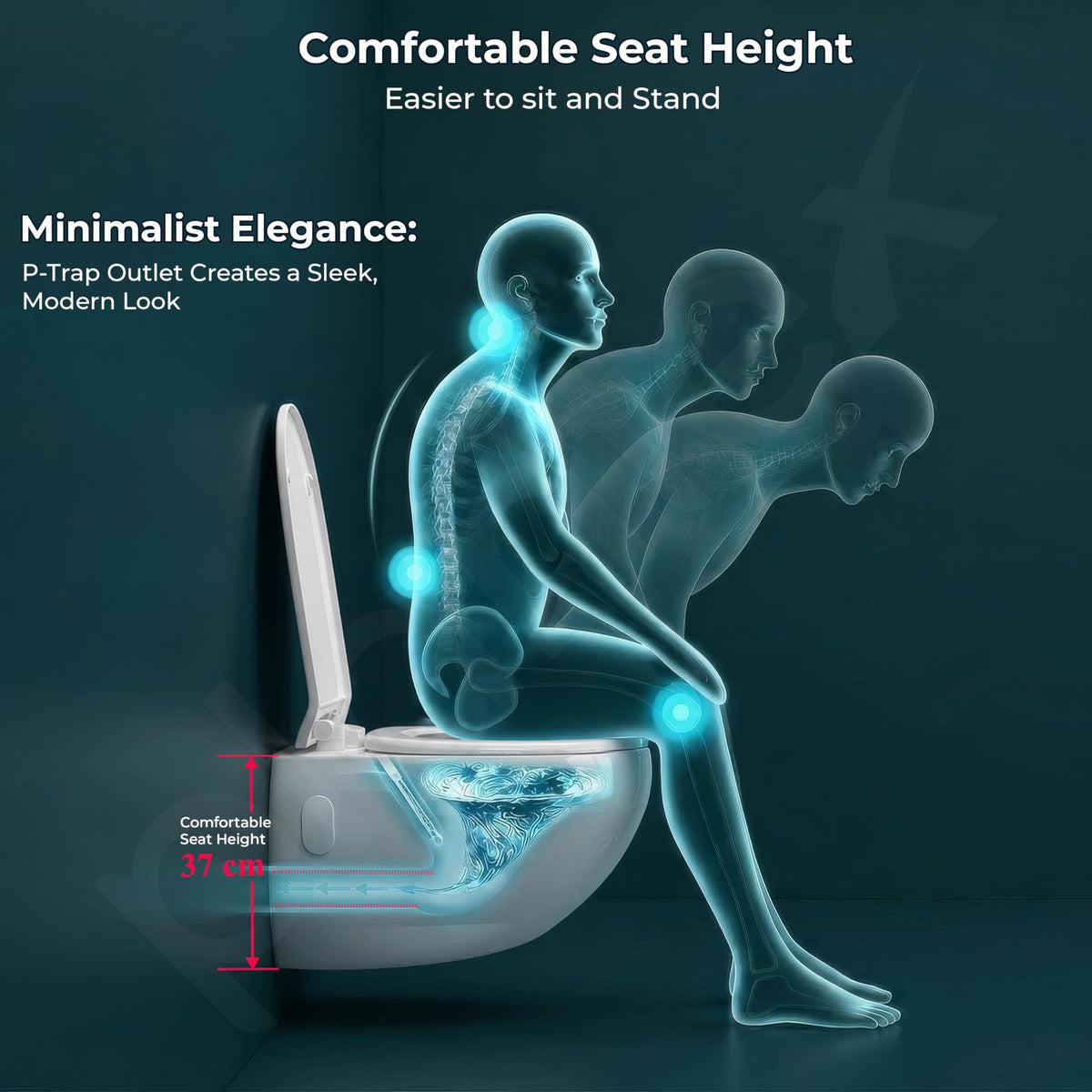 Plantex Ceramic Commode for Toilet/Rim Oval Shape Wall Hung Commode/Washdown Western Toilet with Soft Closing Toilet Seat (P-Trap, White)-5