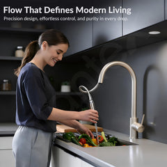 Plantex Pull-Down Kitchen Sink Tap/304 Stainless Steel Sink Tap for Kitchen Basin with 360? Swivel Spout/Kitchen Sink Faucet- (1062, Matt)-5