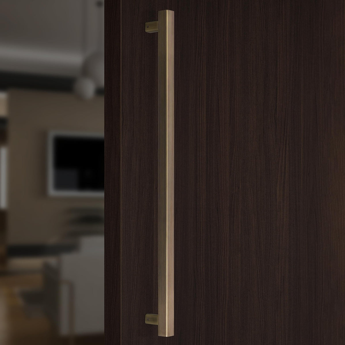 Plantex Door Pull-Push Handle/24 inch Main Door Handle/Heavy Duty Door Handle/Door & Home Decor - Pack of 1 (Brass Antique) - 3 Years Warranty-1