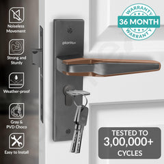 Plantex Heavy Duty Door Lock Set - Main Door Lock Handle Set/Mortise Locks with 3 Keys, Brass Body & Cylinder (8064 - Grey & PVD Choco)-2