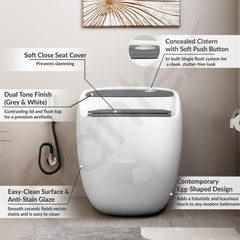 Plantex Platinum Ceramic Rimless Commode/One Piece Western Toilet/Siphonic Flush Western Commode with Soft Close Toilet Seat - S Trap Outlet (White & Grey)-2