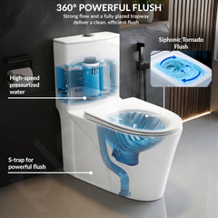 Plantex Platinum Ceramic Rimless Western Commode/One Piece Floor Mounted Commode/Siphonic Vaccum Flush Toilet with Soft Close Toilet Seat Cover - S Trap Outlet (White)-4