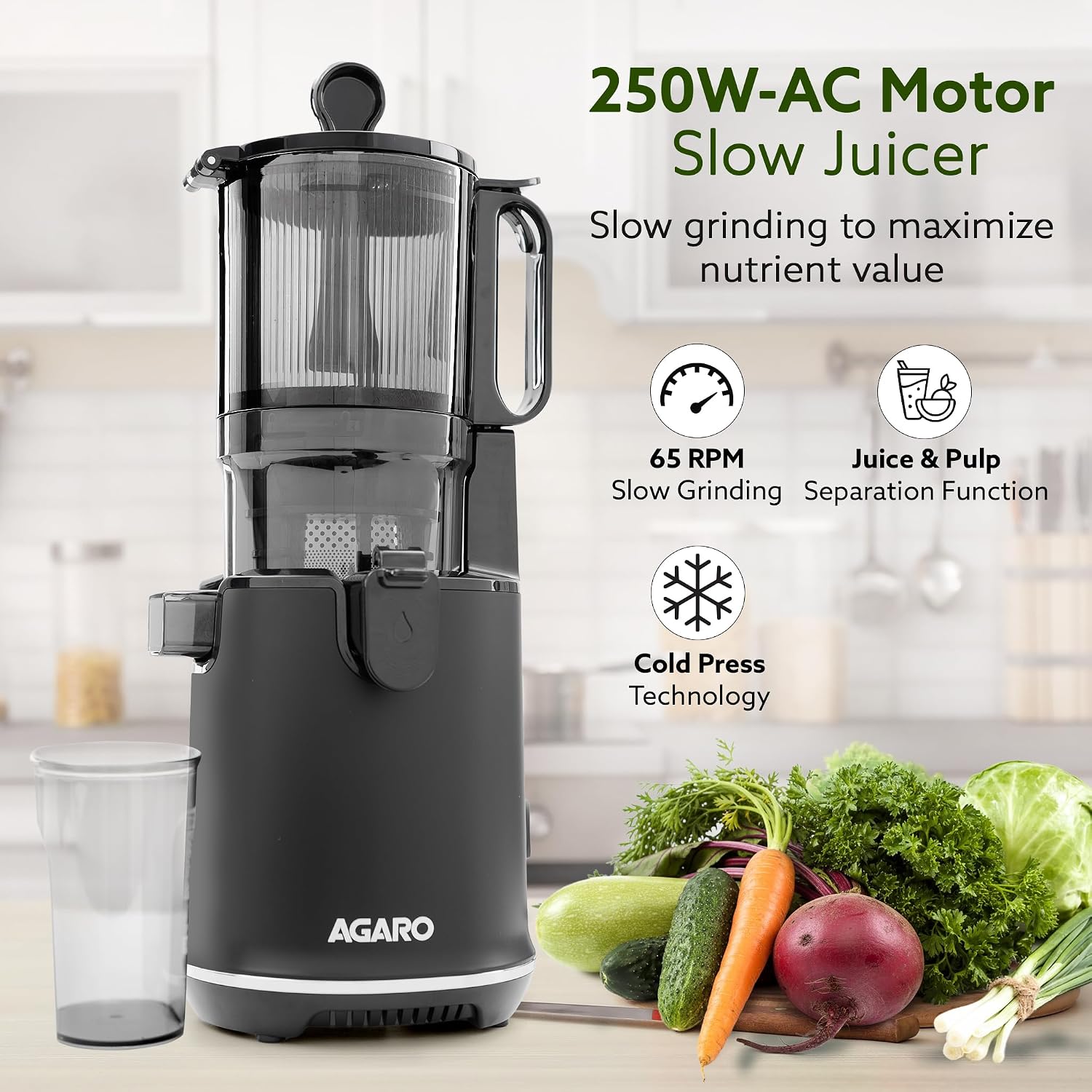 AGARO Regency Cold Press Juicer for Home, 250 Watt AC Motor Slow Juicer Machine, Fruit, Vegetable Juice & Nut Milks, Easy Assembly, Cleaning, Intelligent Safety Features & Auto Reverse, BPA-Free