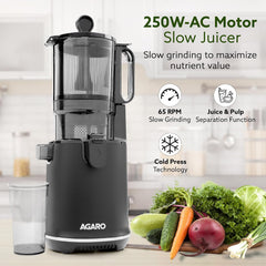 AGARO Regency Cold Press Juicer for Home, 250 Watt AC Motor Slow Juicer Machine, Fruit, Vegetable Juice & Nut Milks, Easy Assembly, Cleaning, Intelligent Safety Features & Auto Reverse, BPA-Free