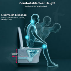 Plantex Platinum Rimless Wall Hung Western Commode/Washdown Bathroom Commode/P Trap Western Toilet with Soft Close Toilet Seat Cover (Ocean)-4