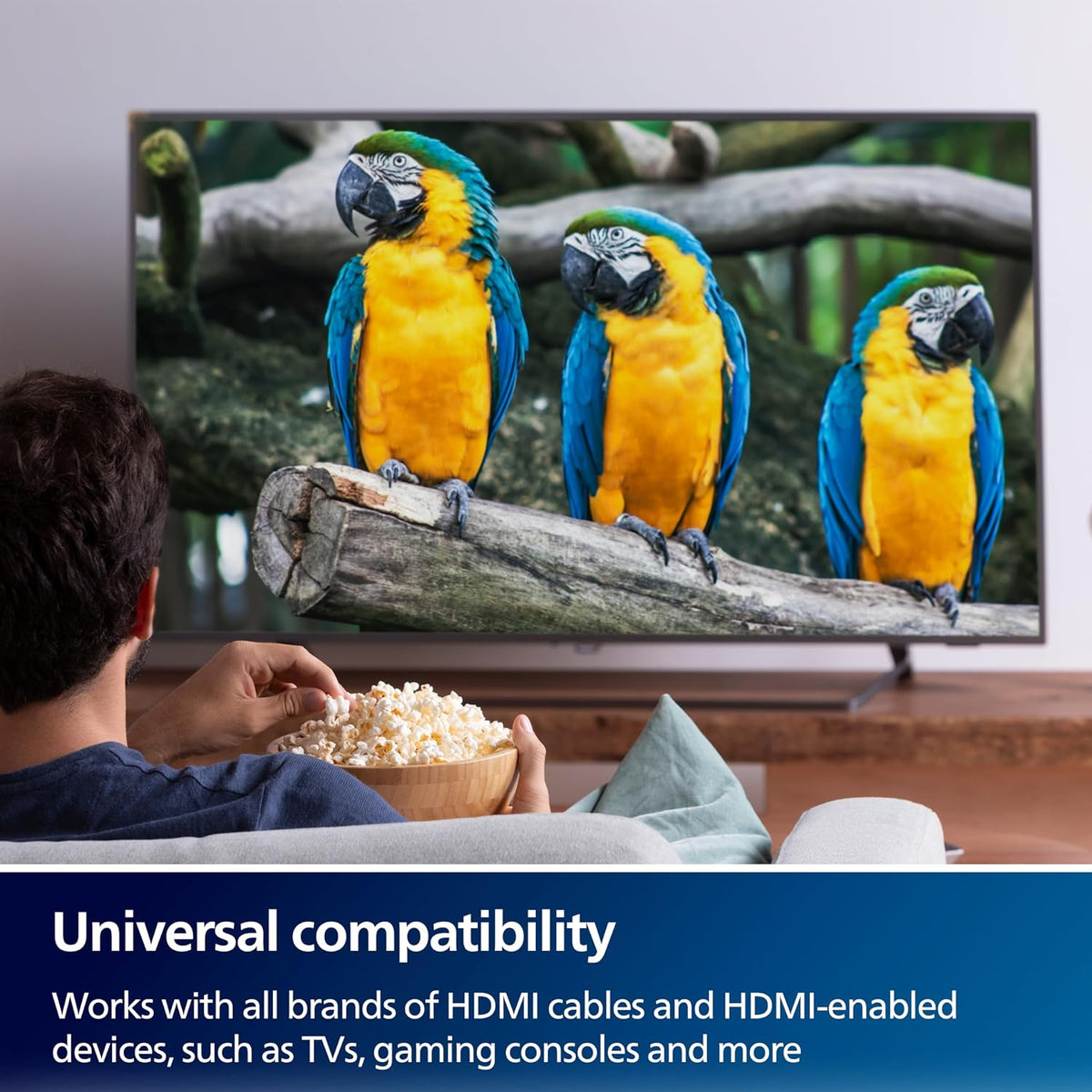Philips 2 Device HDMI 2.1 Switch Splitter [8K@60Hz 4K@120Hz] Dolby Atmos, HD Dolby 7.1 Surround Sound (SWV9173GR/37)