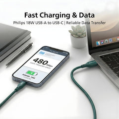 Philips DLC4160AT/94 18W Type-A to Type-C Fast Charging Cable (2m, Crystal Teal)