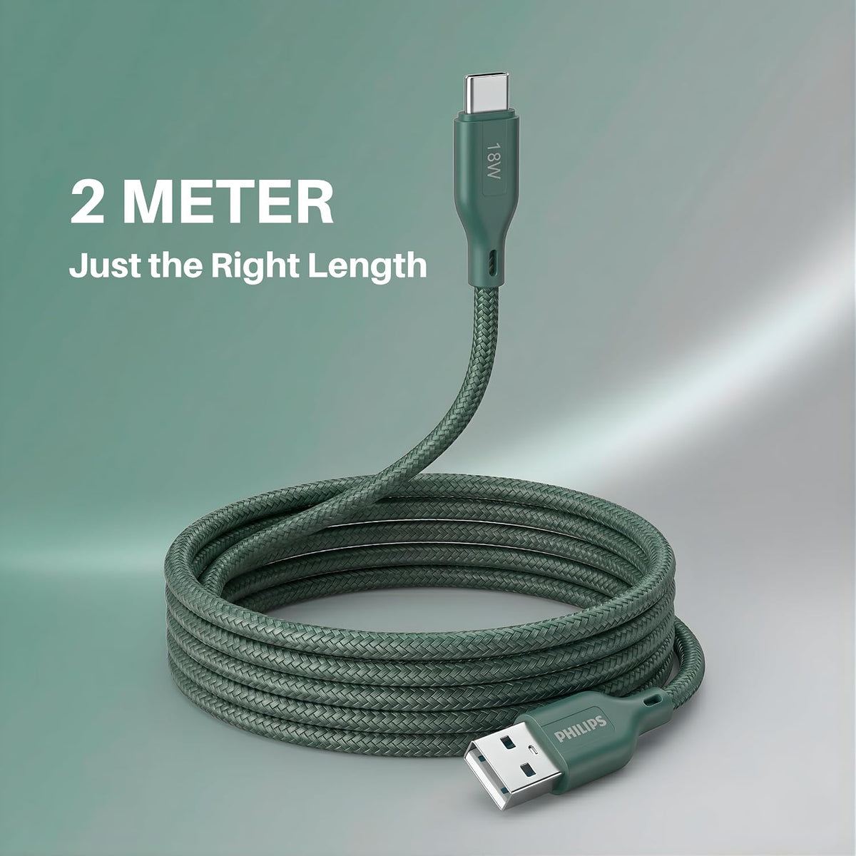 Philips DLC4160AT/94 18W Type-A to Type-C Fast Charging Cable (2m, Crystal Teal)