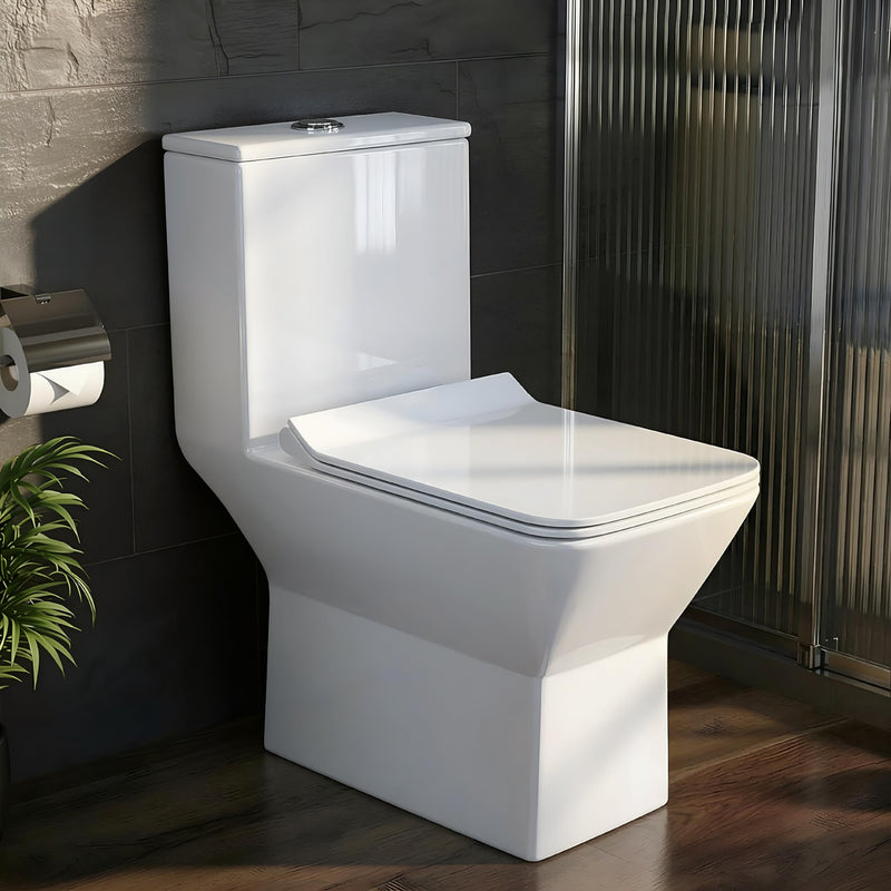 Plantex Siphonic Flush System Rimless Ceramic Commode/S Trap Western Toilet with Siphonic Vacuum Flush/One Piece Western Commode with Soft Close Toilet Seat - (White)-1