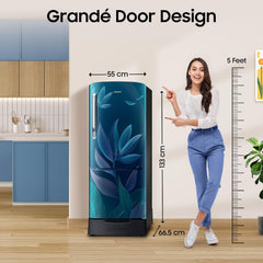 Samsung 183 L, 4 Star, Digital Inverter, Direct-Cool Single Door Refrigerator (RR20H28249U/NL, Paradise Bloom Blue, Base Stand Drawer, Single Touch)-2