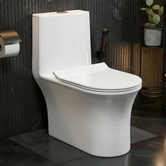 Plantex Ceramic Commode For Toilet/One Piece Western Commode With Rimless Siphonic Flush/Commode With Soft Closing Toilet Seat - S Trap - (Hexa, White)-1