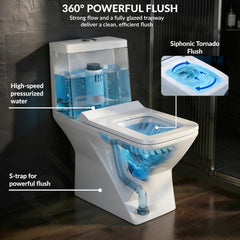 Plantex Siphonic Flush System Rimless Ceramic Commode/S Trap Western Toilet with Siphonic Vacuum Flush/One Piece Western Commode with Soft Close Toilet Seat - (White)-6
