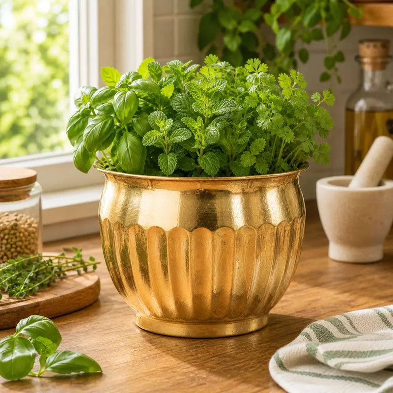Brass Round Bucket Planter Pot (4 Inch)