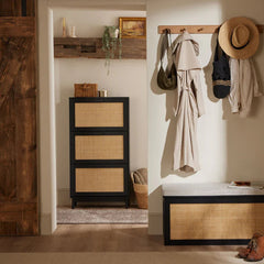 Canora Shoe Cabinet