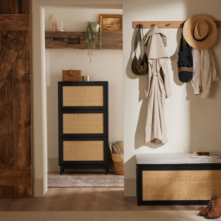 Canora Shoe Cabinet