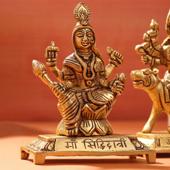 Brass Navdurga Idols Set (4.8 Inch)