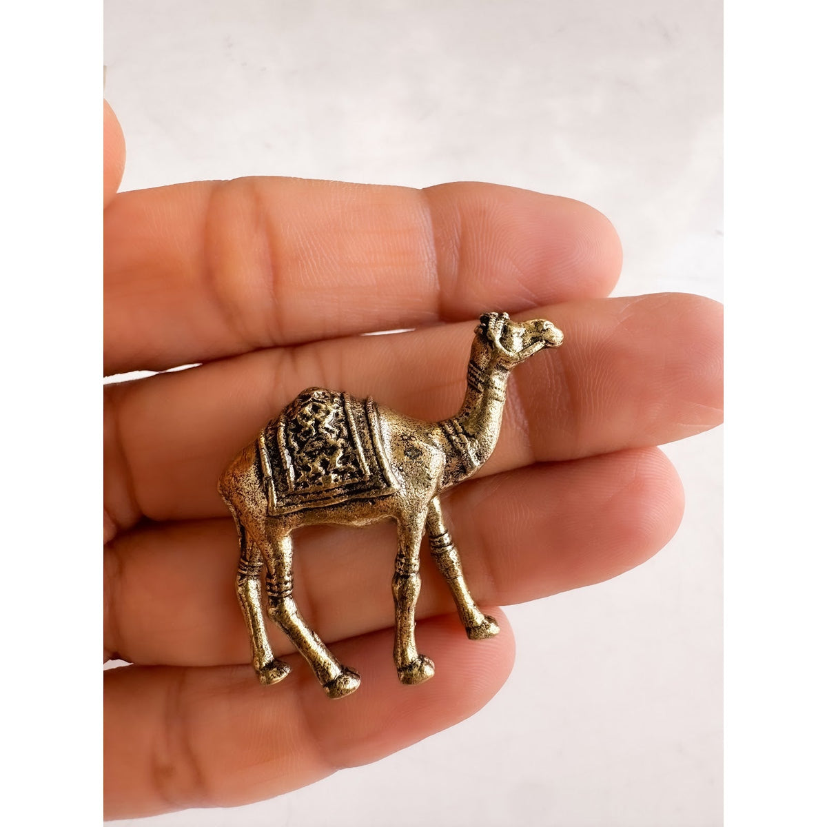 Pure Brass Miniature Camel Statue for Vastu - 3 cm
