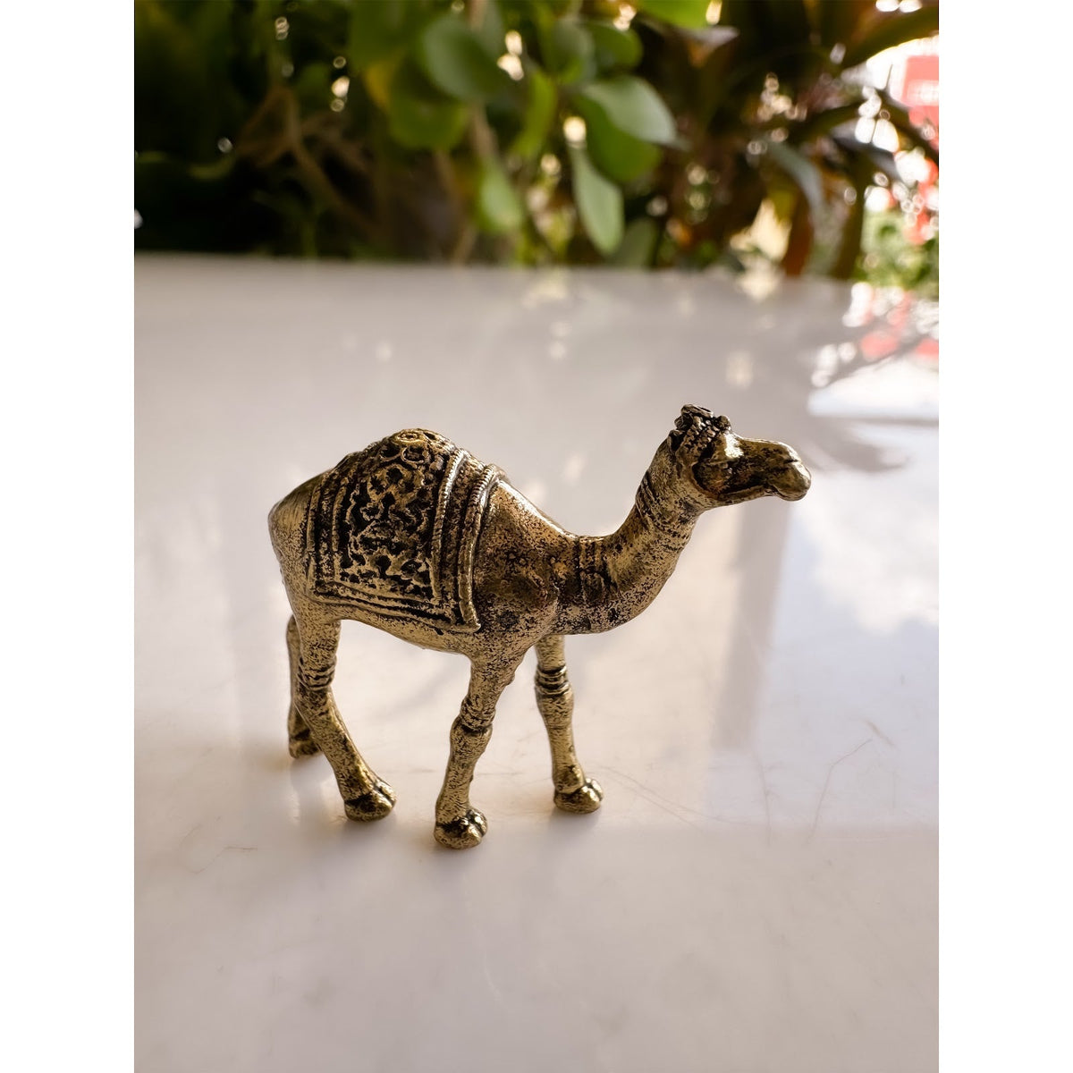 Pure Brass Miniature Camel Statue for Vastu - 3 cm