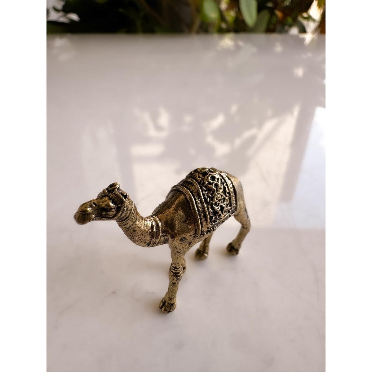 Pure Brass Miniature Camel Statue for Vastu - 3 cm