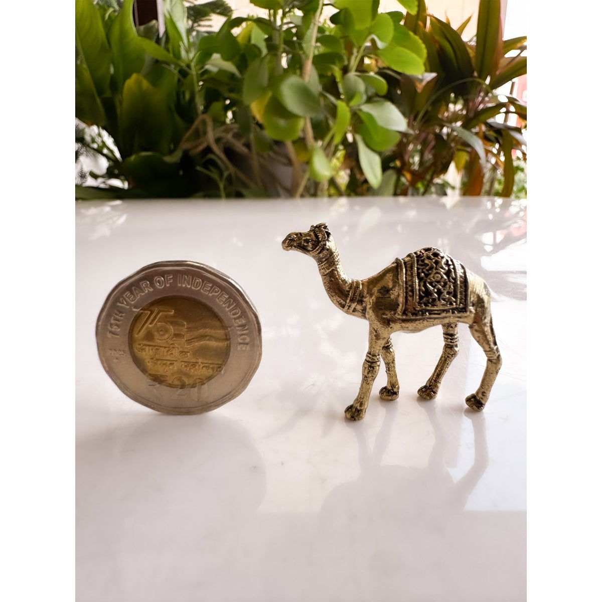 Pure Brass Miniature Camel Statue for Vastu - 3 cm