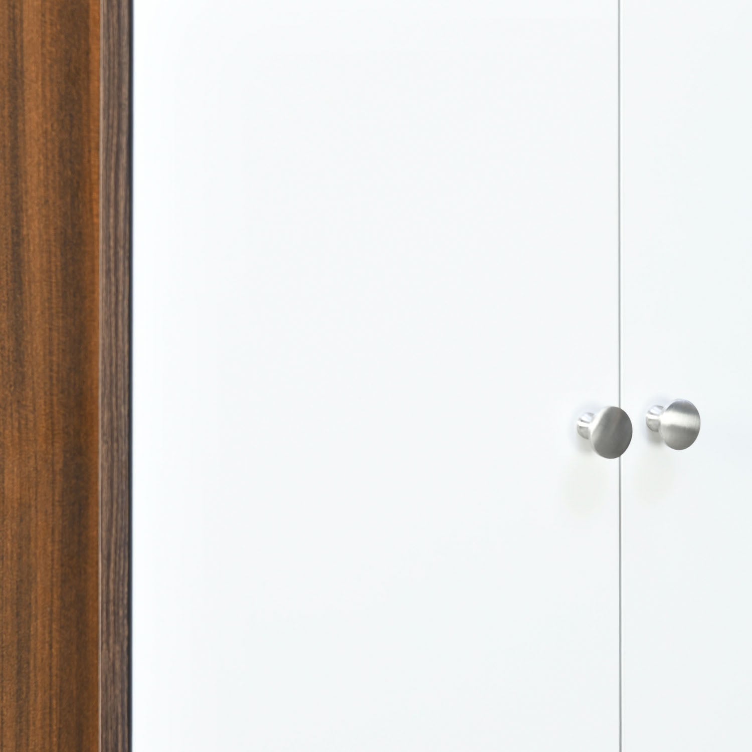 Nilkamal Astero Engineered Wood Shoe Cabinet (Walnut & White)