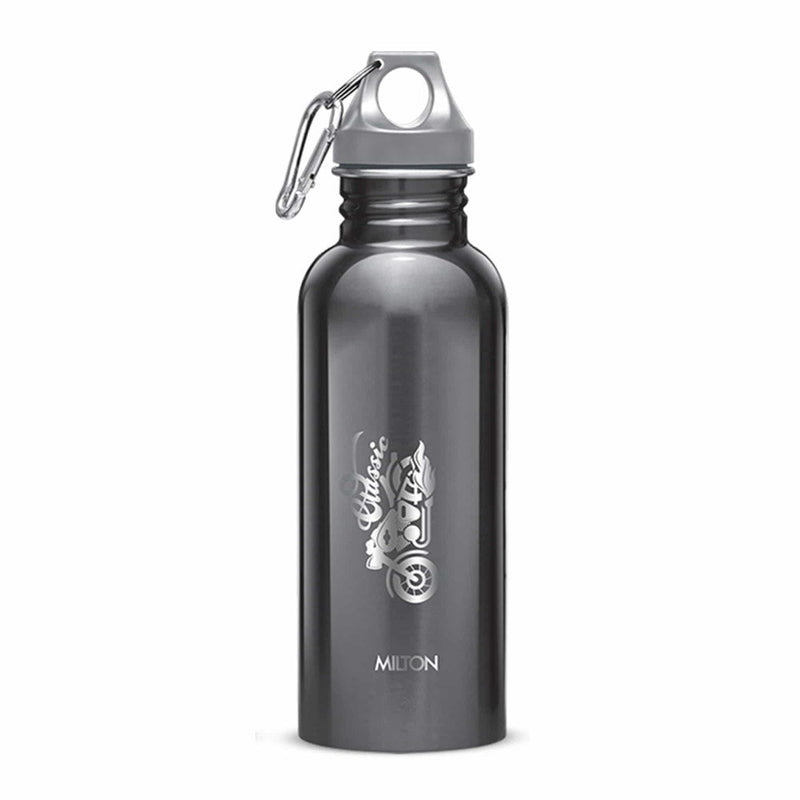 Alive Stainless Steel Bottle (Milton)