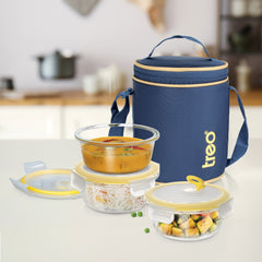 All Fresh Borosilicate Glass Tiffin (Treo by Milton)