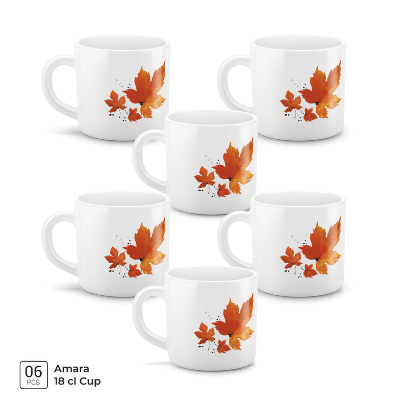 AMARA Cup Set - MAPELLE (Treo by Milton)