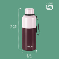Ancy Thermosteel Water Bottle (Milton)