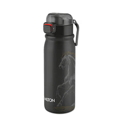 Reva UV Design Stainless Steel Bottle - (Milton)