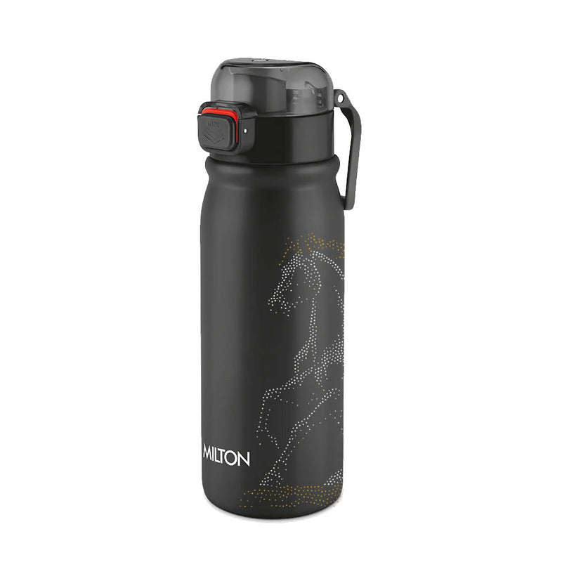 Reva UV Design Stainless Steel Bottle - (Milton)
