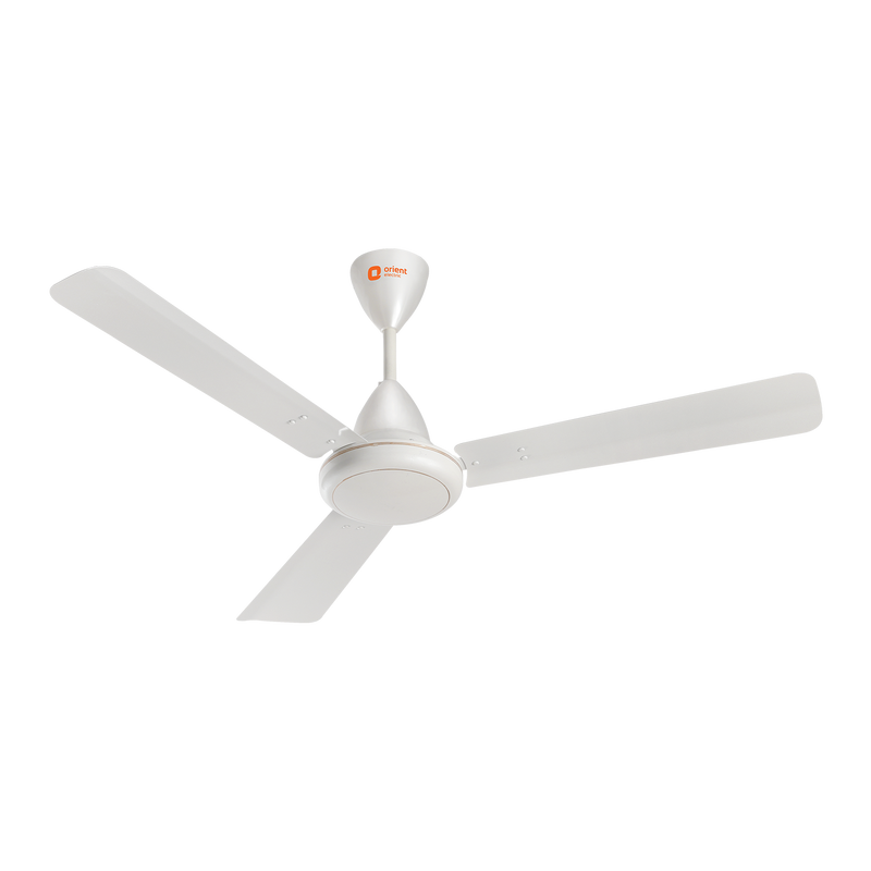 Hector 500 BLDC Ceiling Fan | 3 Year Warranty