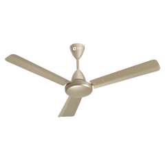 Hector 500 BLDC Ceiling Fan | 3 Year Warranty