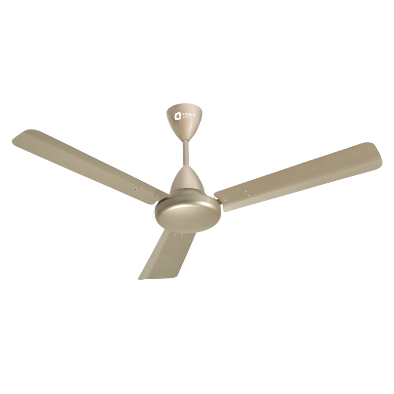Hector 500 BLDC Ceiling Fan | 3 Year Warranty