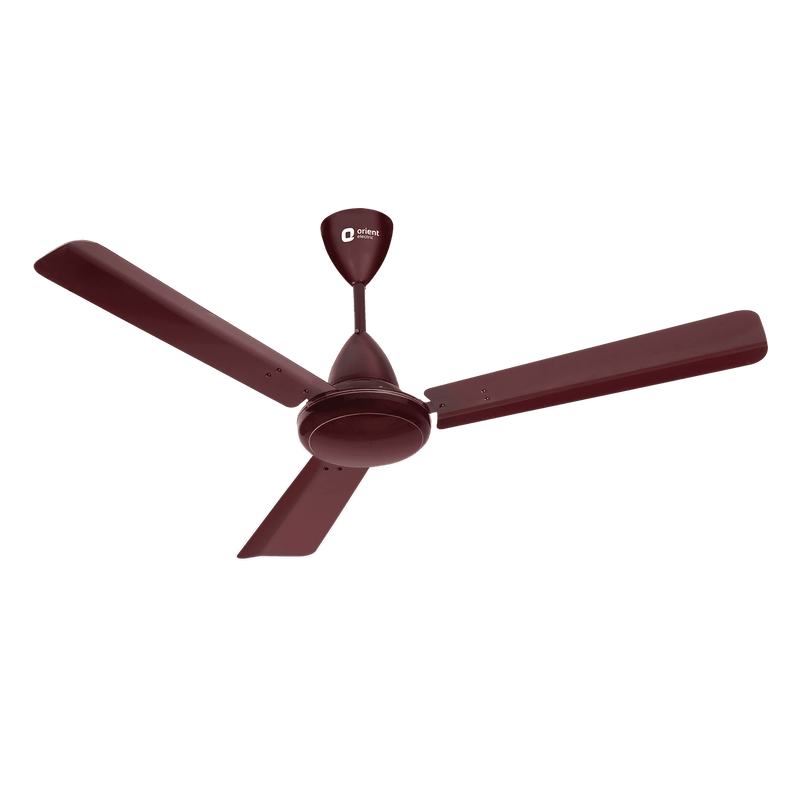 Hector 500 BLDC Ceiling Fan | 3 Year Warranty