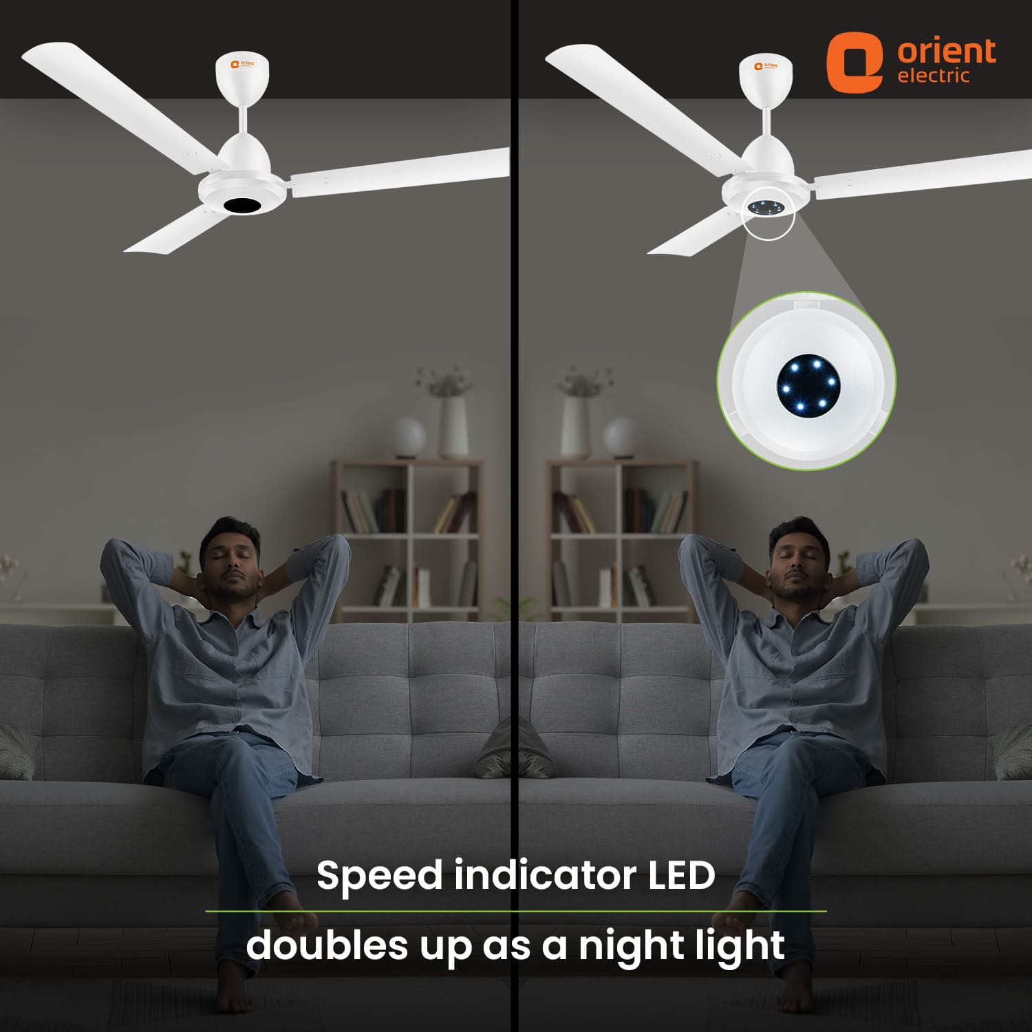 I-Falcon BLDC Ceiling Fan With Light & Remote