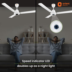 I-Falcon BLDC Ceiling Fan With Light & Remote