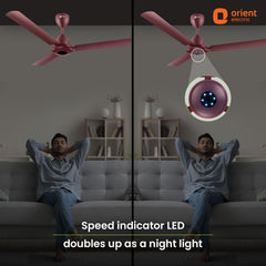 I-Falcon BLDC Ceiling Fan With Light & Remote