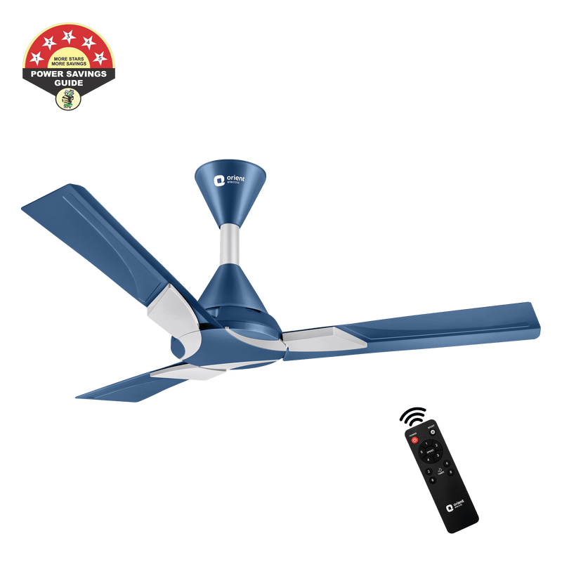 Wendy BLDC Remote Ceiling Fan | 3-Year Warranty