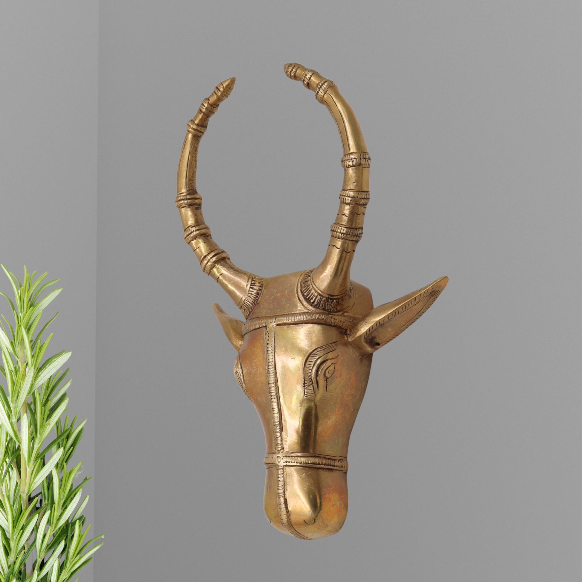 Brass Bull Head Wall Hanging, Nandi Ox Face Sculpture Decor, Gold, 10 Inch, 1 Piece