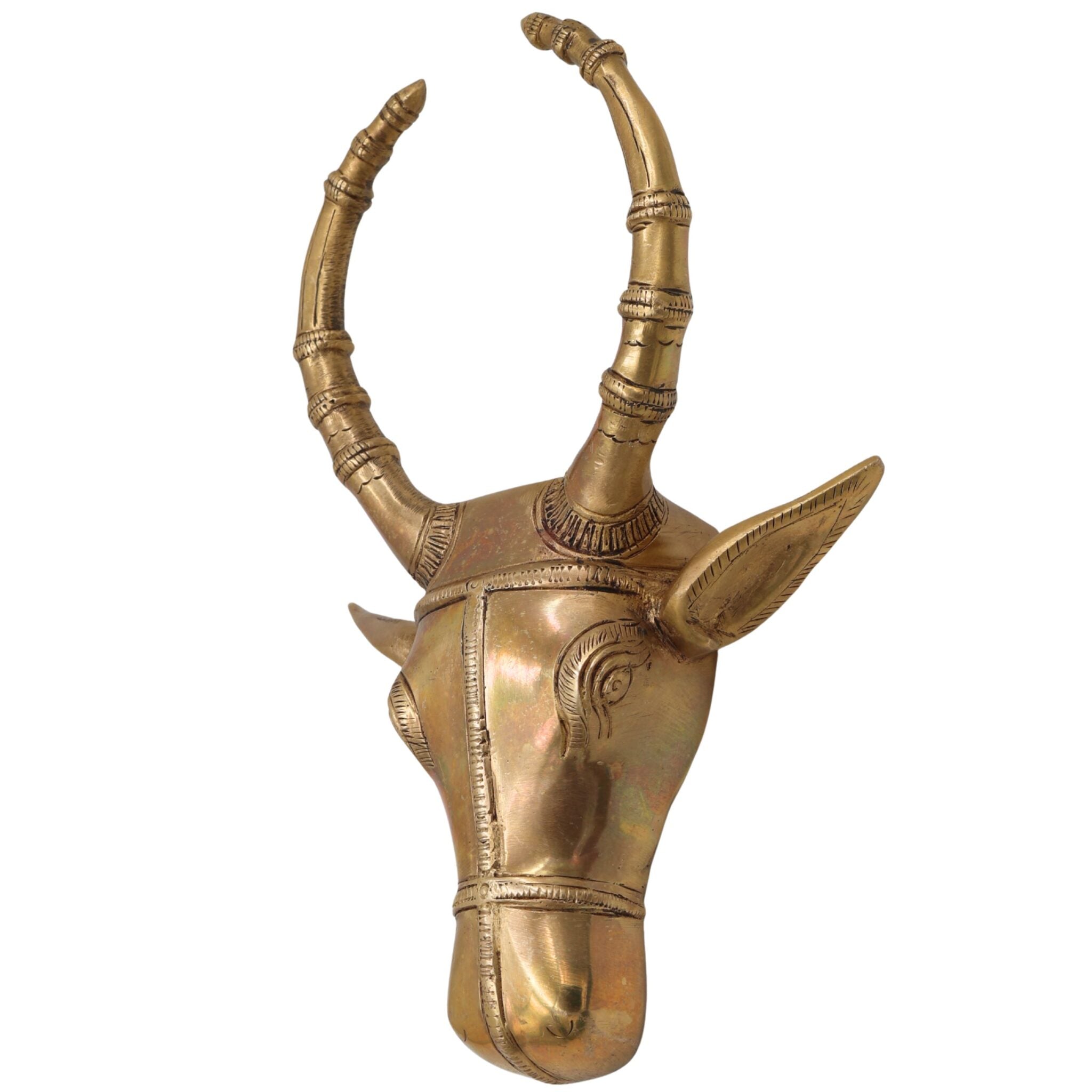 Brass Bull Head Wall Hanging, Nandi Ox Face Sculpture Decor, Gold, 10 Inch, 1 Piece