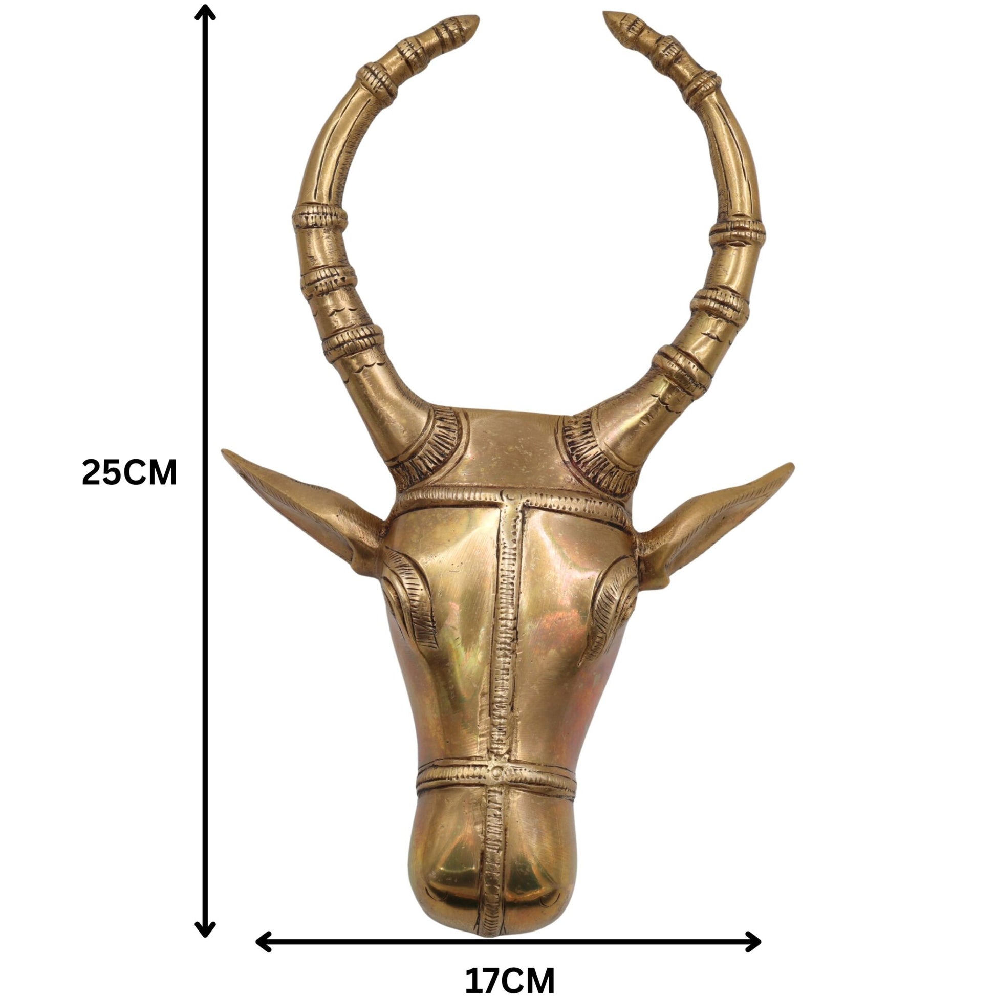 Brass Bull Head Wall Hanging, Nandi Ox Face Sculpture Decor, Gold, 10 Inch, 1 Piece