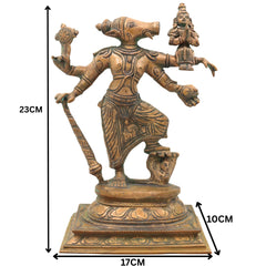 Handcrafted Bronze Panchaloha Varaha Swamy with Bhudevi Idol | Vishnu Varaha Murthy Perumal Bhu Varaha Moorthy Chola Art Sculpture for Temple & Home Decor,Gold, 9 Inch, 1 Piece