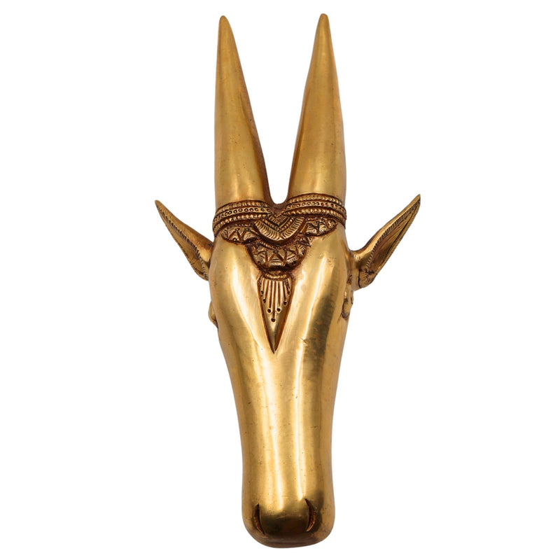 Brass Bull Face Wall Hanging – Nandhi Head | Nandi Face Ox Sculpture for Home Decor & Gifting, Gold, 12 Inch, 1 Piece