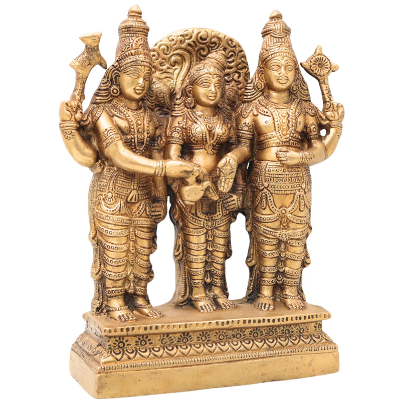 Brass Srinivasa Kalyanam Idol, Venkateswara Balaji Tirupati Kalyanotsavam Statue, Vishnu Narayan Perumal Marriage Murti for Home Temple & Puja,Gold, 9 Inch, 1 Piece