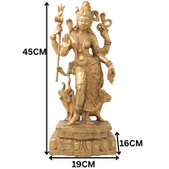 Brass Handcrafted Ardhanarishvara Idol | Panchaloha Ardhanari, Ardhanarishwar, Ardhanareeshwara, Umamaheshwar Murti for Home Temple & Gifts,Gold, 17.5 Inch, 1 Piece