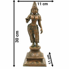 Divine Panchaloha Bhoga Shakti Parvati Idol | Bronze Shakti Devi Murti in Chola Style For Temple & Home Décor,Brown, 12 Inch, 1 Piece