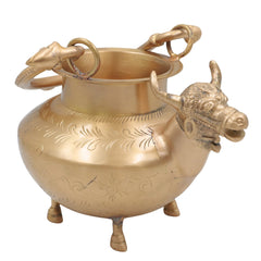 Gomukh Brass Kamandal for Pooja, Gau Mukhi Pital Kamandalu with Cow Face Spout,Vedic Gomukhi Kamandalu for Abhishekam, Tapasya & Yajna, Gold, 11 Inch, 1 Piece